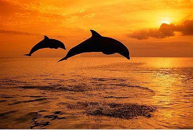 任天堂公布Switch 2充电细节 搭载90%后停充功能